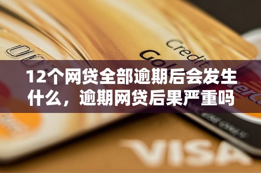 12个网贷全部逾期后会发生什么，逾期网贷后果严重吗