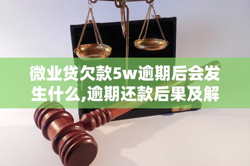 微业贷欠款5w逾期后会发生什么,逾期还款后果及解决方法