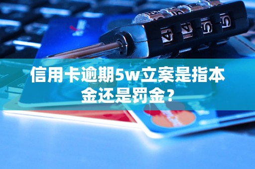 信用卡逾期5w立案是指本金还是罚金？