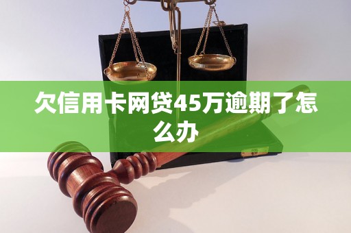 欠信用卡网贷45万逾期了怎么办