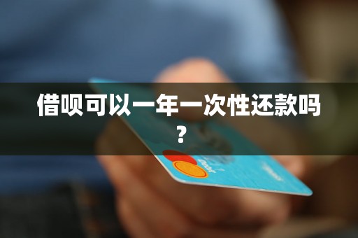 借呗可以一年一次性还款吗？