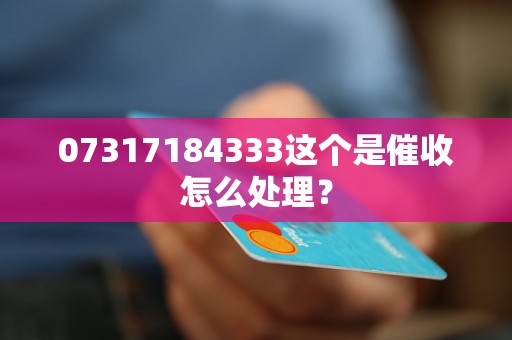 07317184333这个是催收怎么处理？