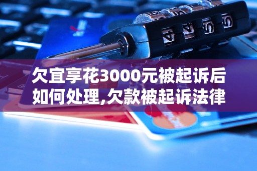 欠宜享花3000元被起诉后如何处理,欠款被起诉法律风险详解