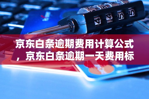 京东白条逾期费用计算公式，京东白条逾期一天费用标准