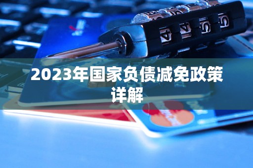 2023年国家负债减免政策详解