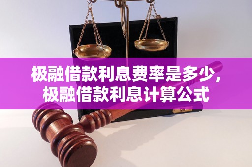 极融借款利息费率是多少,极融借款利息计算公式