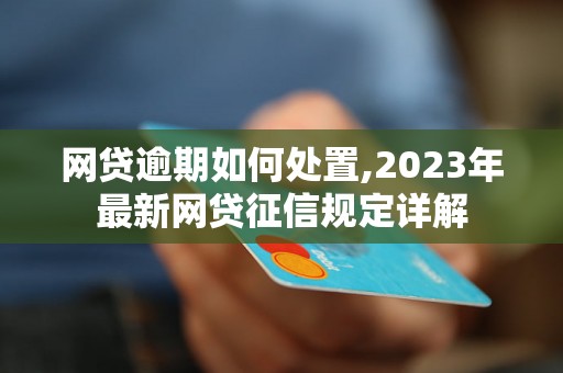 网贷逾期如何处置,2023年最新网贷征信规定详解