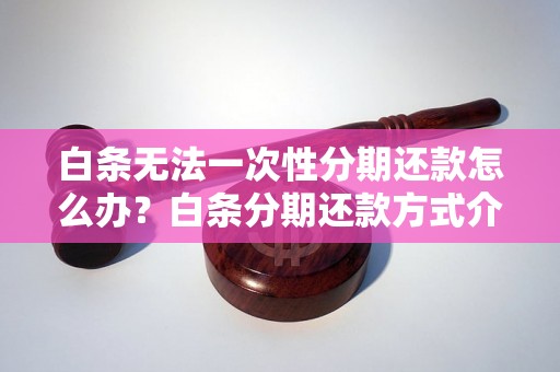 白条无法一次性分期还款怎么办？白条分期还款方式介绍