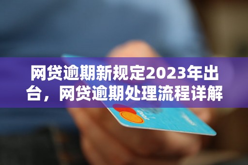 网贷逾期新规定2023年出台，网贷逾期处理流程详解