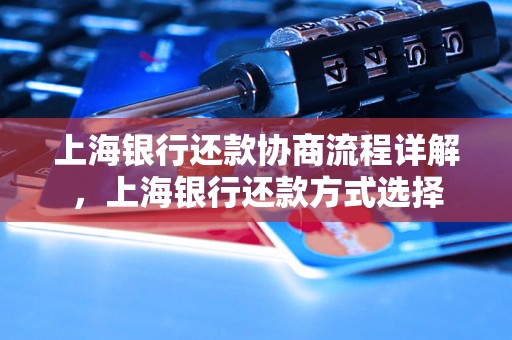 上海银行还款协商流程详解，上海银行还款方式选择
