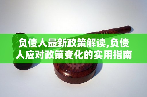 负债人最新政策解读,负债人应对政策变化的实用指南