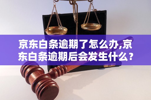 京东白条逾期了怎么办,京东白条逾期后会发生什么？