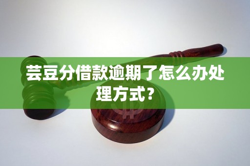 芸豆分借款逾期了怎么办处理方式？