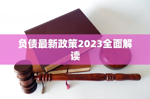 负债最新政策2023全面解读