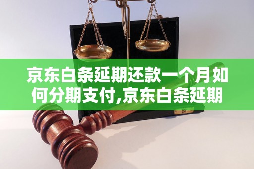 京东白条延期还款一个月如何分期支付,京东白条延期还款费用计算