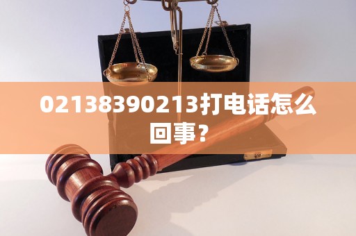 02138390213打电话怎么回事？