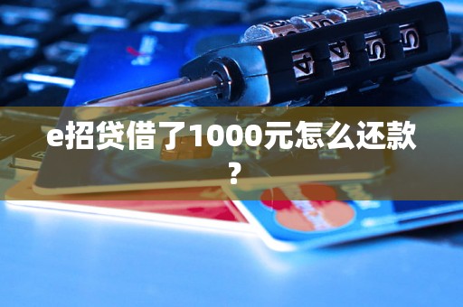 e招贷借了1000元怎么还款？