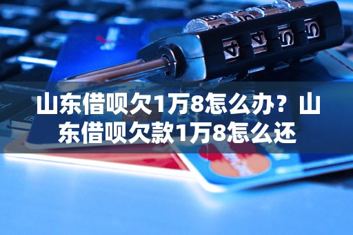山东借呗欠1万8怎么办？山东借呗欠款1万8怎么还