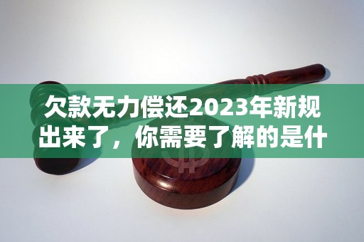 欠款无力偿还2023年新规出来了，你需要了解的是什么？