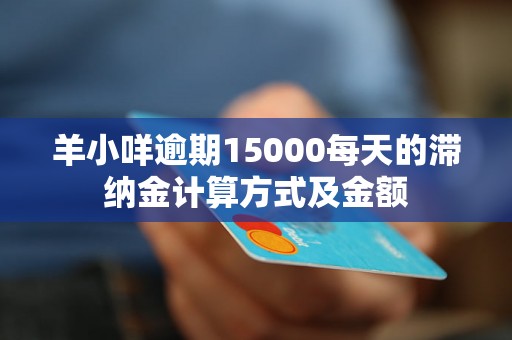 羊小咩逾期15000每天的滞纳金计算方式及金额