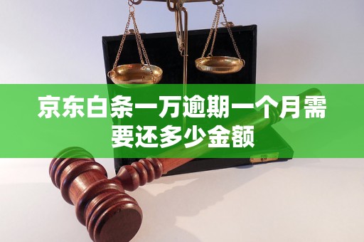 京东白条一万逾期一个月需要还多少金额