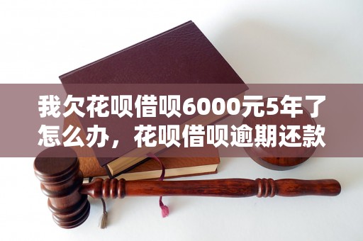 我欠花呗借呗6000元5年了怎么办，花呗借呗逾期还款处理方法