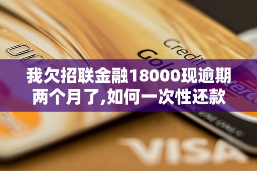 我欠招联金融18000现逾期两个月了,如何一次性还款？