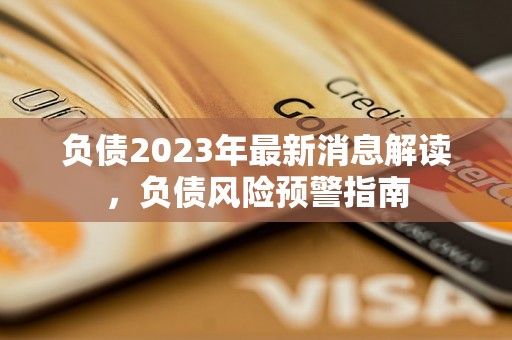 负债2023年最新消息解读，负债风险预警指南