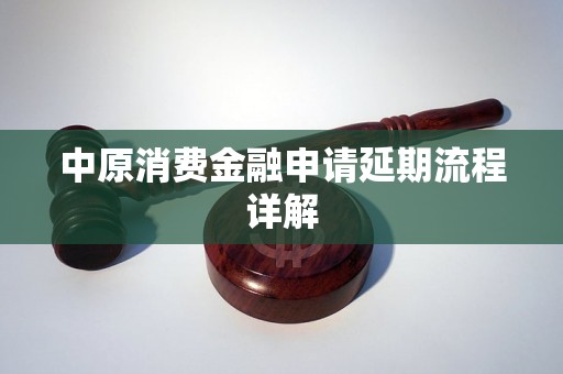 中原消费金融申请延期流程详解