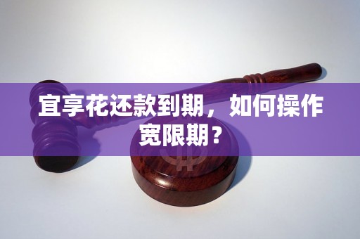 宜享花还款到期，如何操作宽限期？