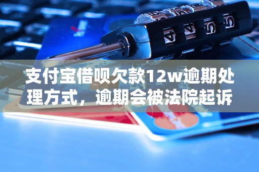 支付宝借呗欠款12w逾期处理方式，逾期会被法院起诉吗