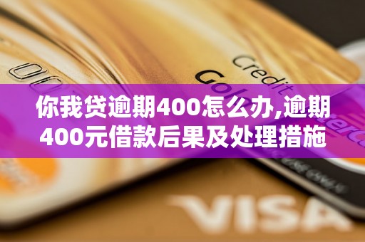 你我贷逾期400怎么办,逾期400元借款后果及处理措施