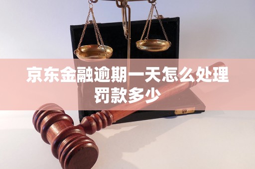 京东金融逾期一天怎么处理罚款多少