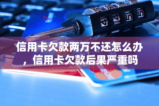 信用卡欠款两万不还怎么办，信用卡欠款后果严重吗