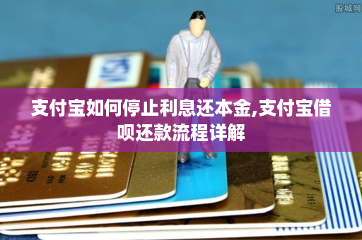 支付宝利息那么高合法吗_支付宝的借呗利息高吗_借支付宝钱利息怎样算