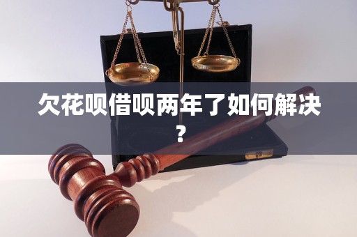 欠花呗借呗两年了如何解决？