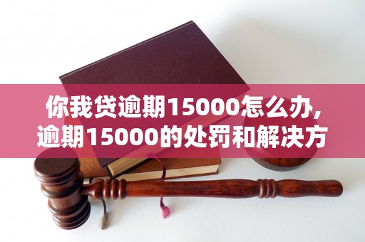 你我贷逾期15000怎么办,逾期15000的处罚和解决方案