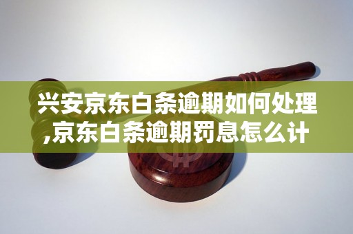 兴安京东白条逾期如何处理,京东白条逾期罚息怎么计算