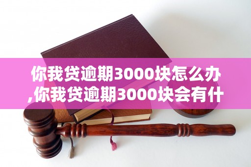 你我贷逾期3000块怎么办,你我贷逾期3000块会有什么后果