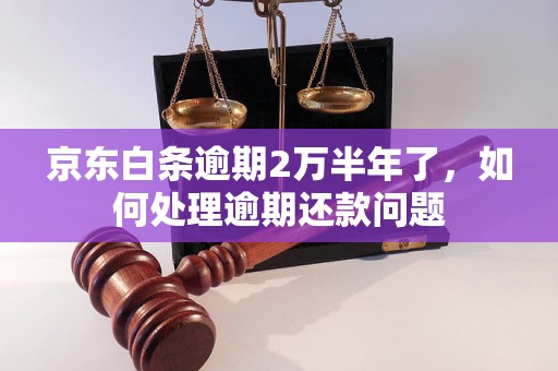 京东白条逾期2万半年了，如何处理逾期还款问题