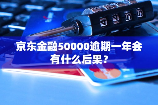 京东金融50000逾期一年会有什么后果？