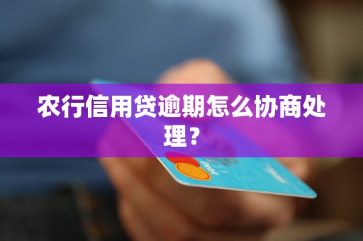 农行信用贷逾期怎么协商处理？