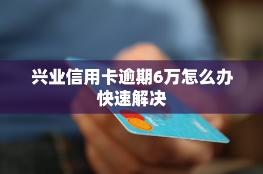 兴业信用卡逾期6万怎么办快速解决