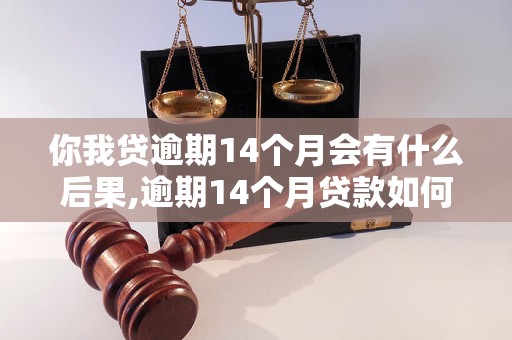 你我贷逾期14个月会有什么后果,逾期14个月贷款如何处理