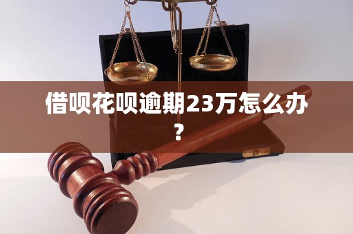 借呗花呗逾期23万怎么办？