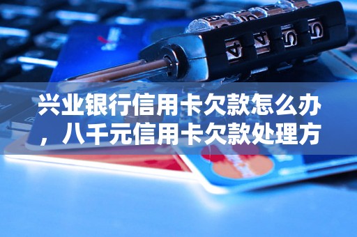 兴业银行信用卡欠款怎么办，八千元信用卡欠款处理方法