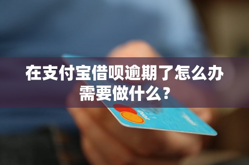 在支付宝借呗逾期了怎么办需要做什么？