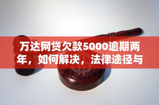 万达网贷欠款5000逾期两年，如何解决，法律途径与风险分析