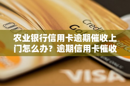 农业银行信用卡逾期催收上门怎么办？逾期信用卡催收流程解析