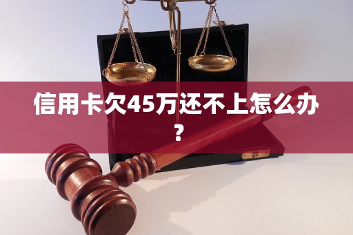 信用卡欠45万还不上怎么办？